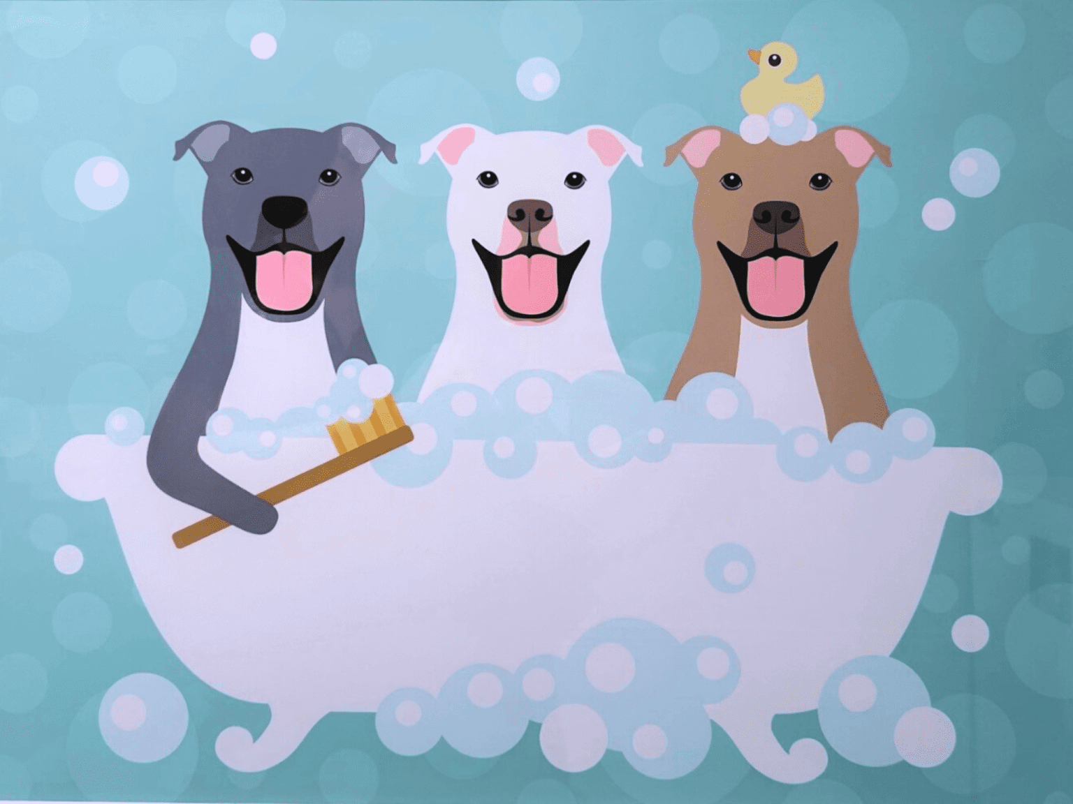 Veterinarian in Dumfries, VA Dumfries Animal Hospital