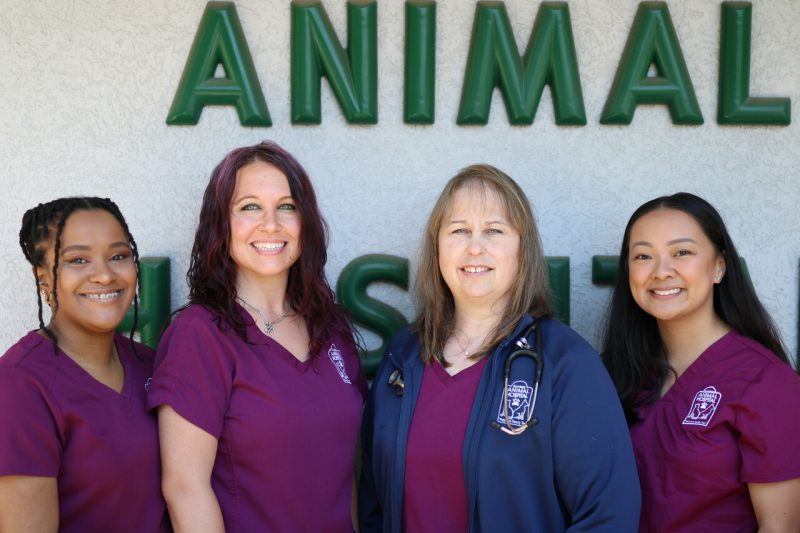 Careers in Dumfries, VA Dumfries Animal Hospital